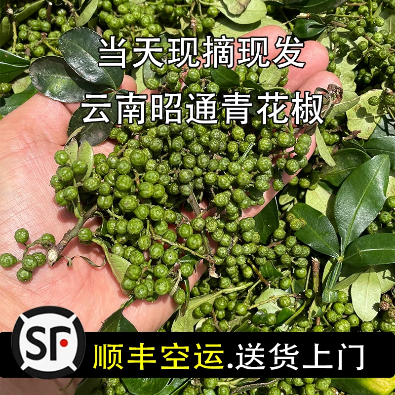 云南本地采摘新鲜散装青花椒顺丰空运