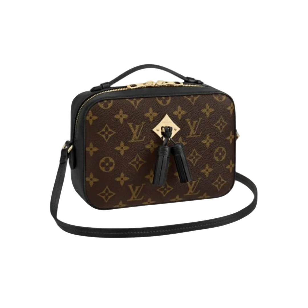95新 LouisVuitton/路易威登 安洁利严选相机包/0016738