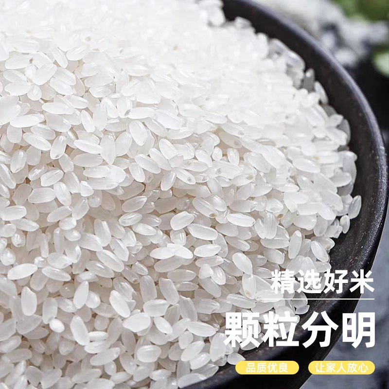 东北禧娃五常长粒香大米5斤10斤包邮新米嘎嘎香早市