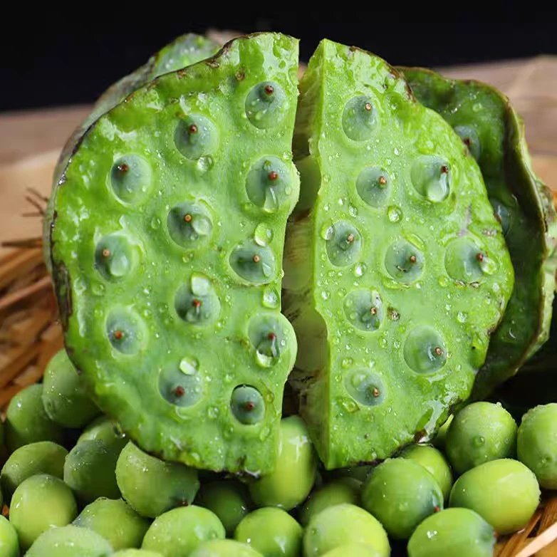 新鲜现摘莲蓬可生吃甜嫩莲子米当季水果清香脆甜真空发货