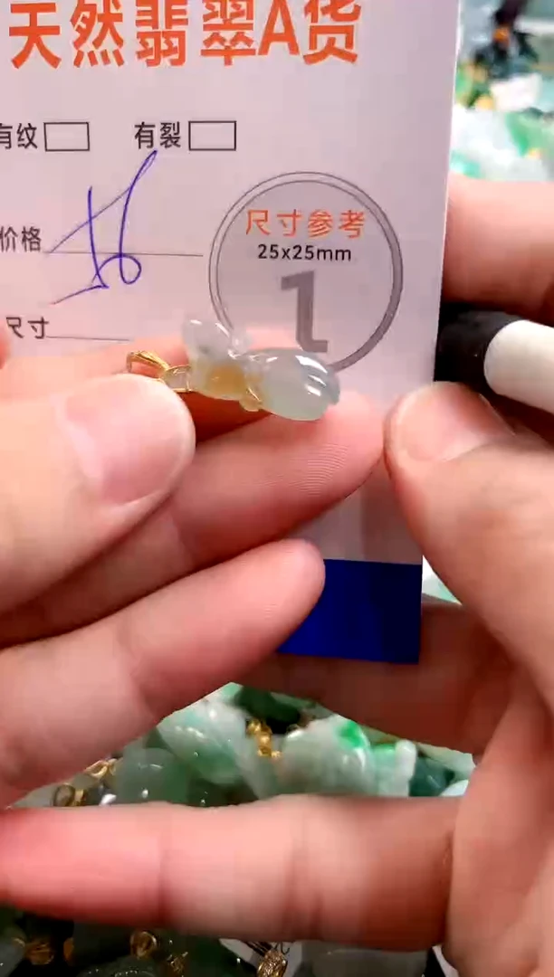 颈饰未镶嵌翡翠28100186