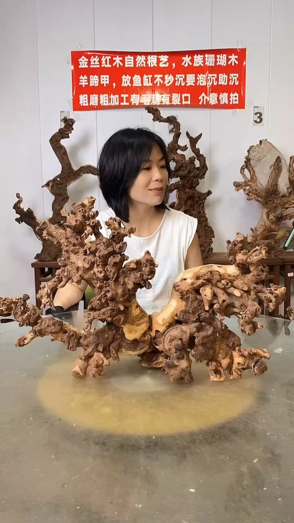 香榧木小*金丝红木 羊蹄甲