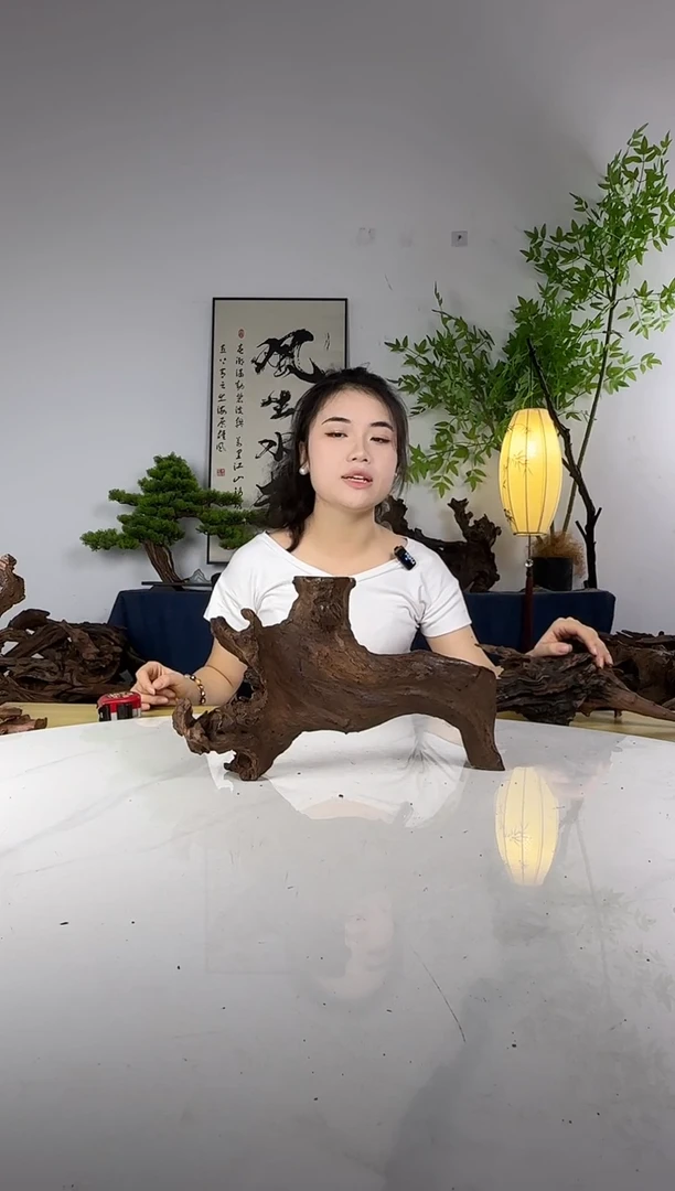 用****5拍这个定向编号17