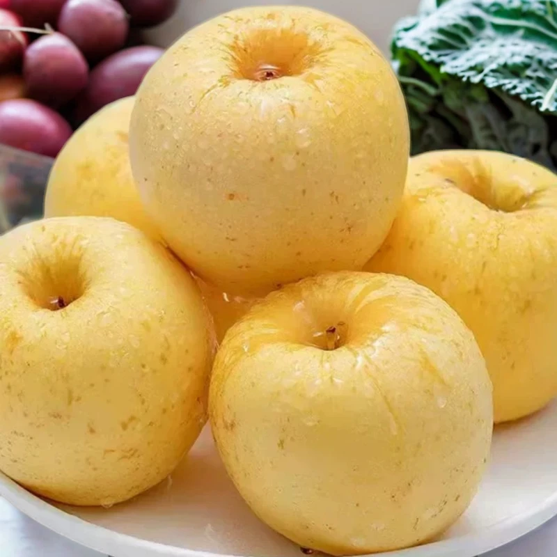 山东烟台正宗奶油富士苹果脆甜多汁冰糖心新鲜水果