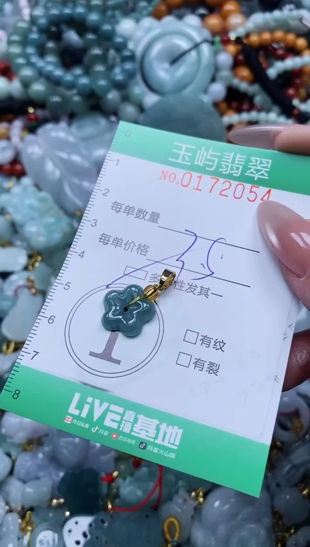 翡翠未镶嵌颈饰闪购0172054多样性发其一