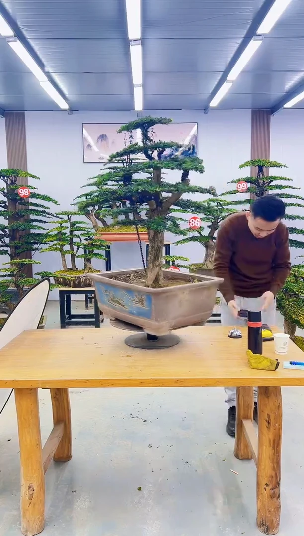 无花朵0000000000000000