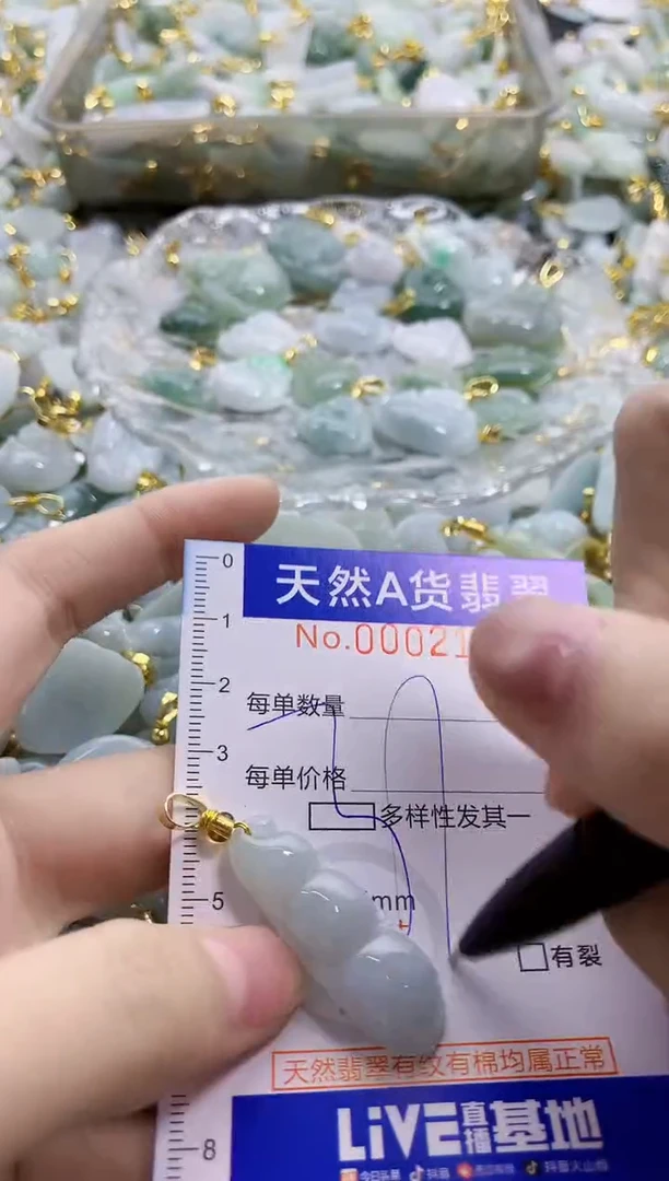 颈饰未镶嵌翡翠纯天然a货翡翠