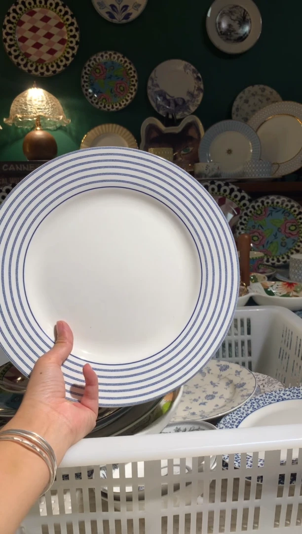 瓷片陶瓷尾单CC011微瑕1个10.5寸