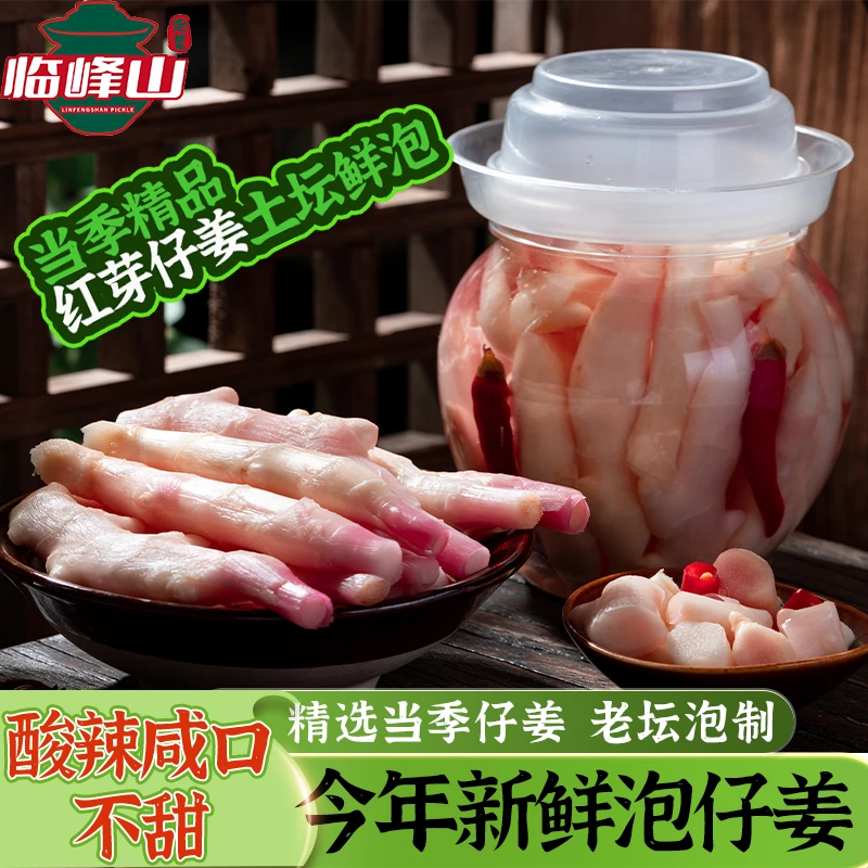 2025泡仔姜四川泡仔姜嫩姜500克老母水川味泡菜传统土坛泡即食