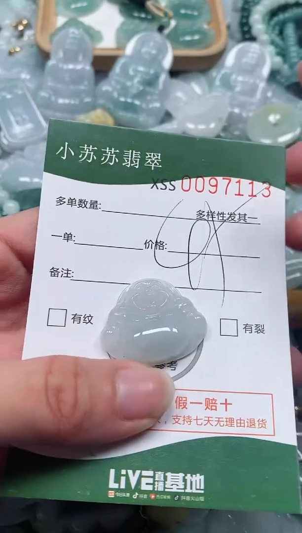 【闪购商品】翡翠颈饰未镶嵌闪购商品0097113