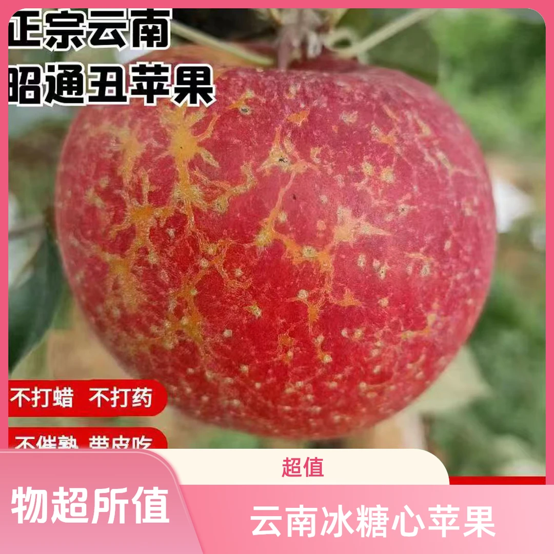 正宗云南昭通早熟冰糖心苹果现摘现发生态种植基地直发3/5/10斤