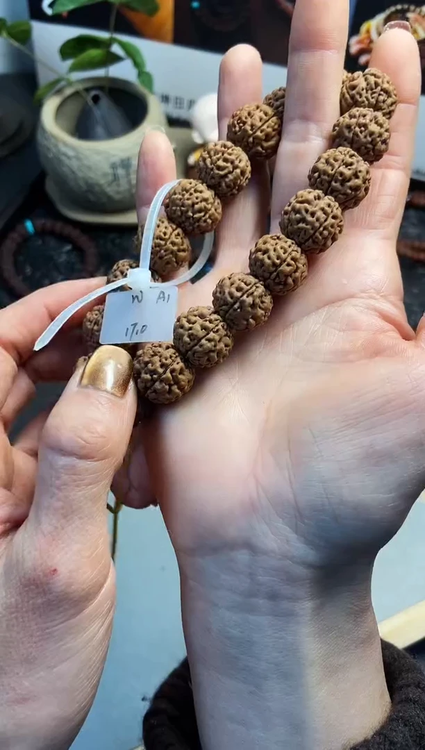 手串金刚菩提八龙17