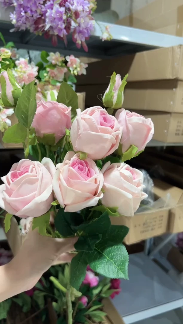 忆****子3枝粉色手感保湿芬兰（不售后）