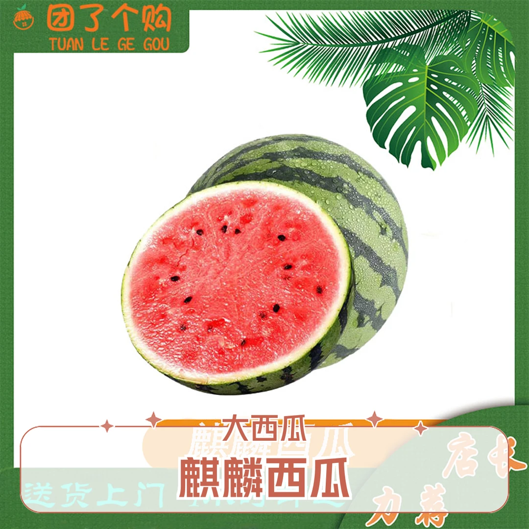 麒麟西瓜9-10斤左右西瓜同城配山东省