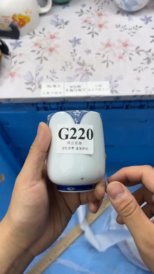 瓷片          G220