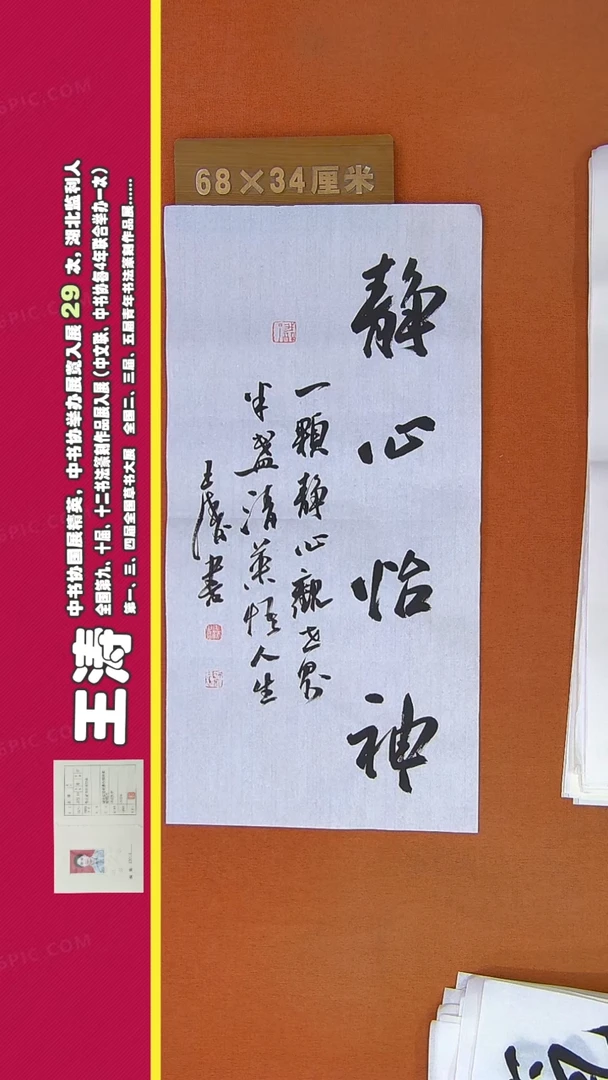 【闪购商品】书法165王涛书法作品