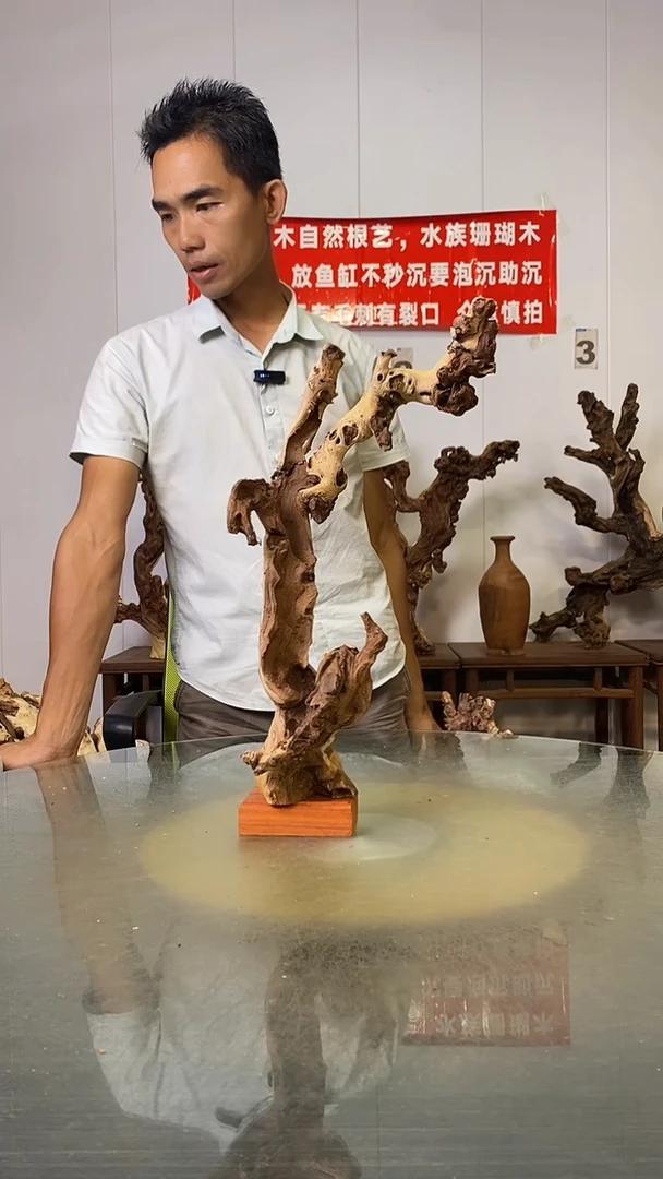 香榧木小*金丝红木   羊蹄甲