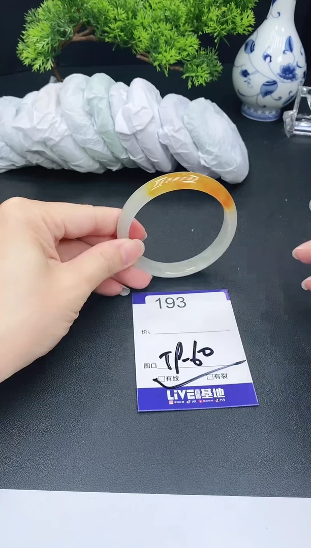 未镶嵌手镯翡翠193