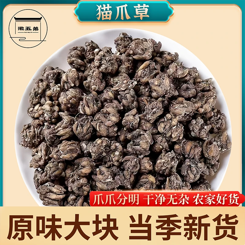徽五弟农家采摘猫爪草干货头茬头采低温烘干爪爪分明泡茶煲汤好用