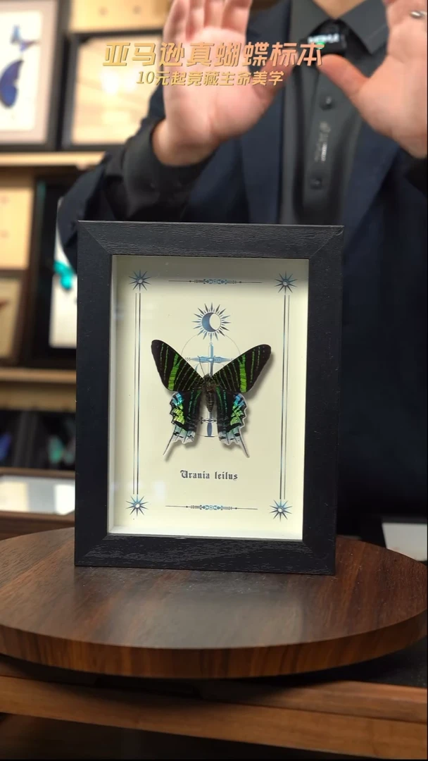 月亮蛾图腾款7寸竖框