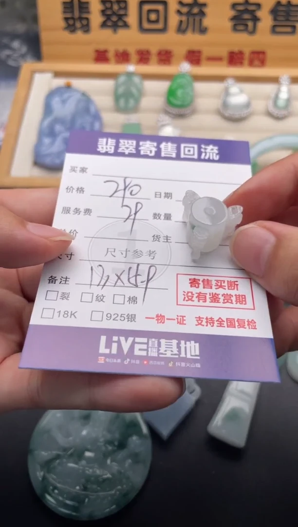 颈饰未镶嵌翡翠10147013