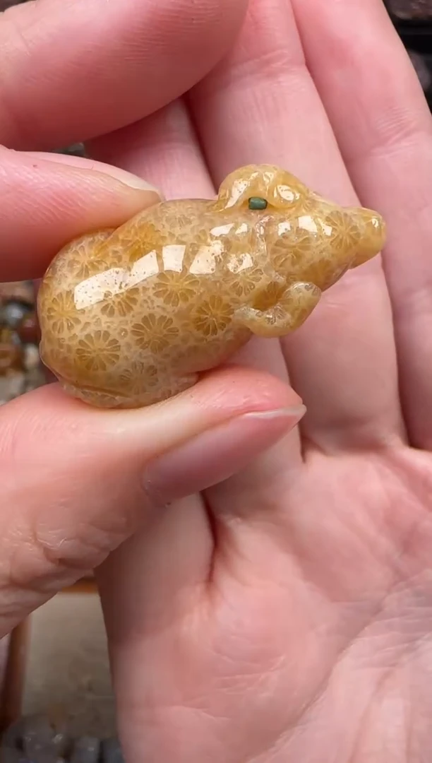 颈饰未镶嵌硅化珊瑚（珊瑚玉）341