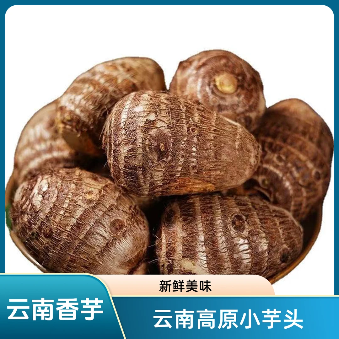 云南高原新鲜牛奶小芋头农家自种香糯粉滑毛芋头香芋代餐食品奶白