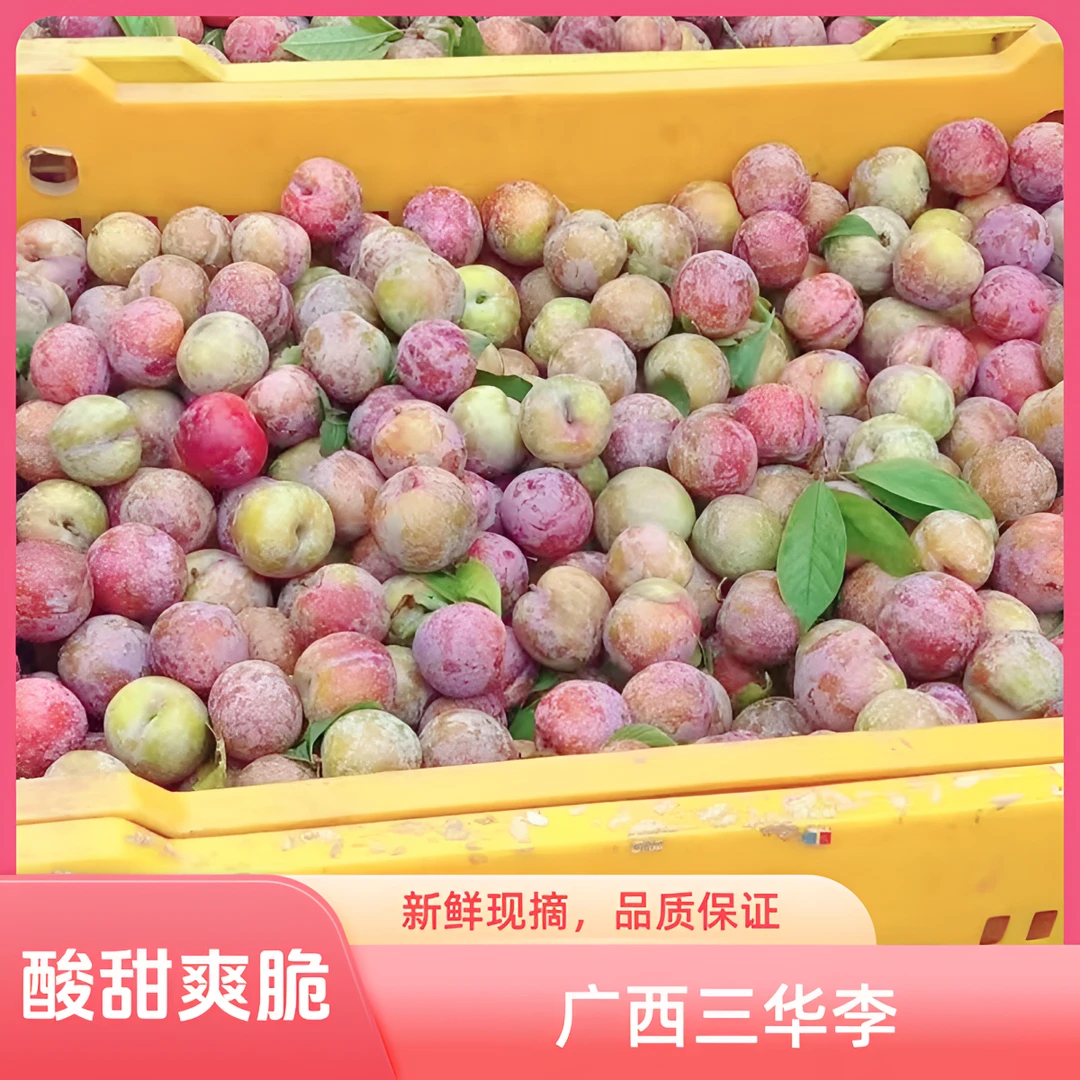 新鲜采摘正宗广西红心三华李酸甜爽口当季水果