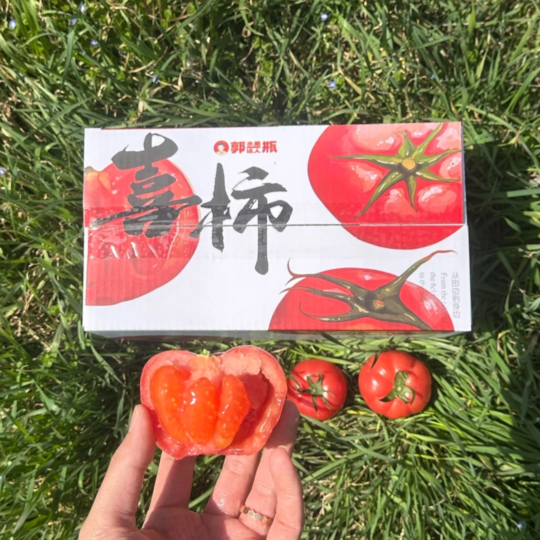 【顺丰】郭一瓶果蔬泾阳枝熟普罗旺斯西红柿净重4.3-4.5斤