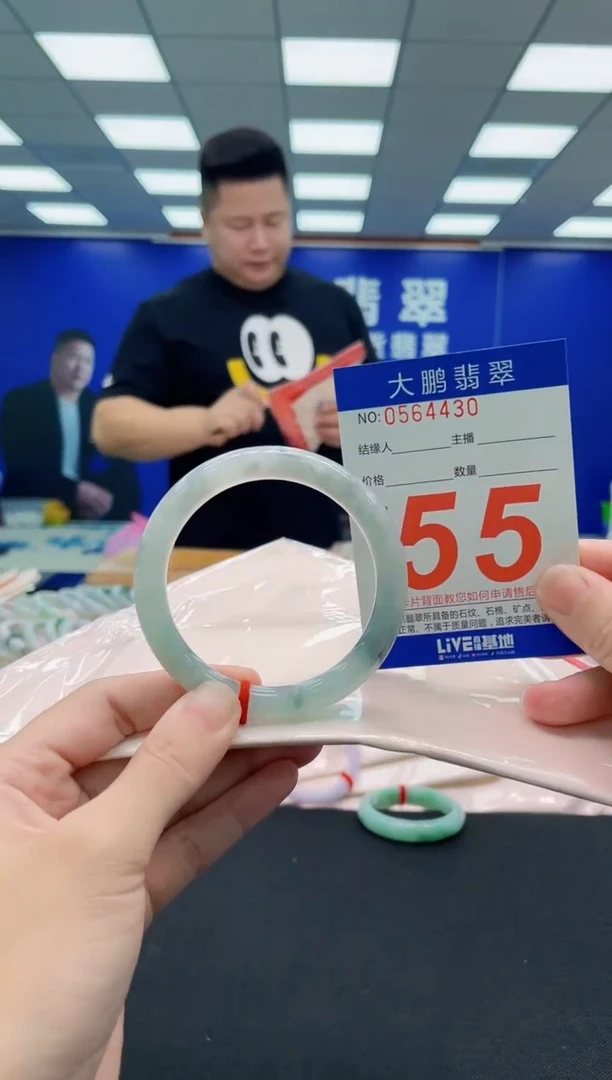 未镶嵌手镯翡翠AAAAAAAAA