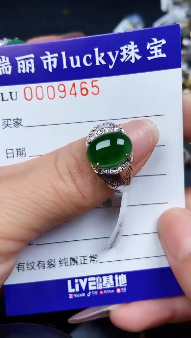 翡翠银S925镶嵌颈饰9465