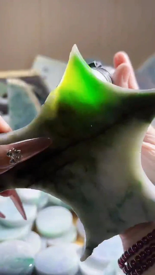 翡翠未镶嵌颈饰翡翠A货 江谭862