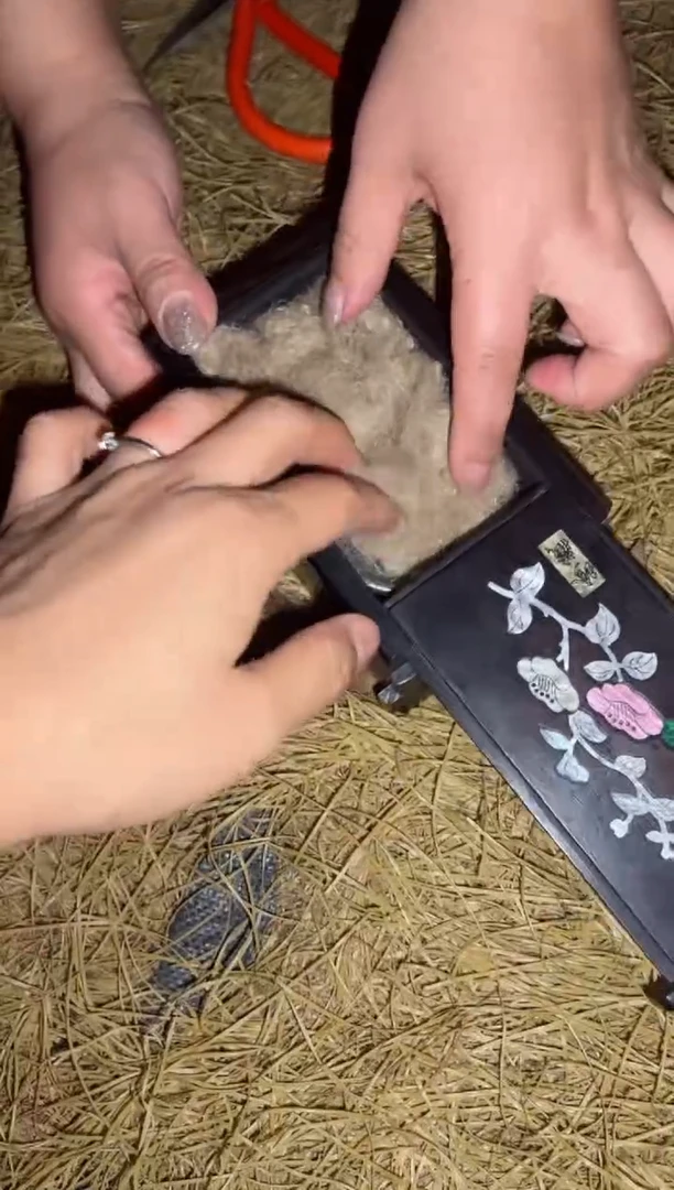香榧木一一一一一一一一福利