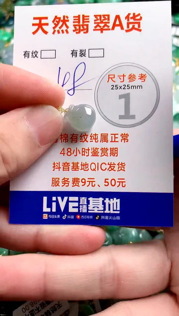翡翠18K金镶嵌颈饰14004637