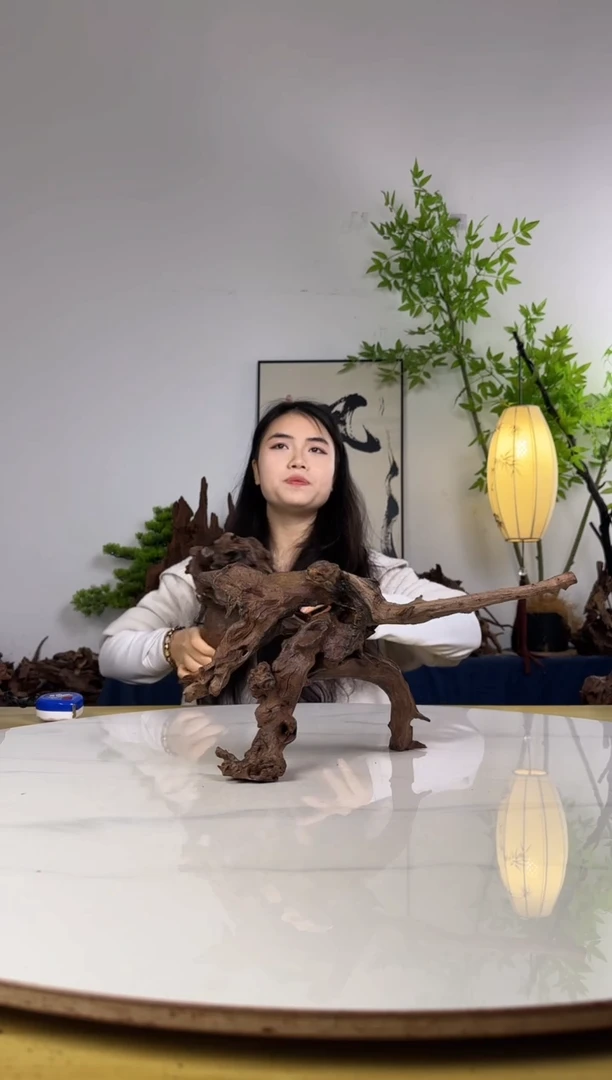 浮*拍沉木定向链接编号42