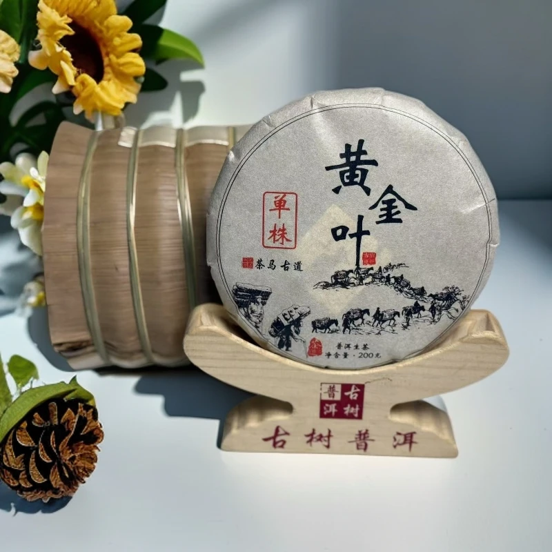 【自家高货】2025年单株黄金叶普洱生茶