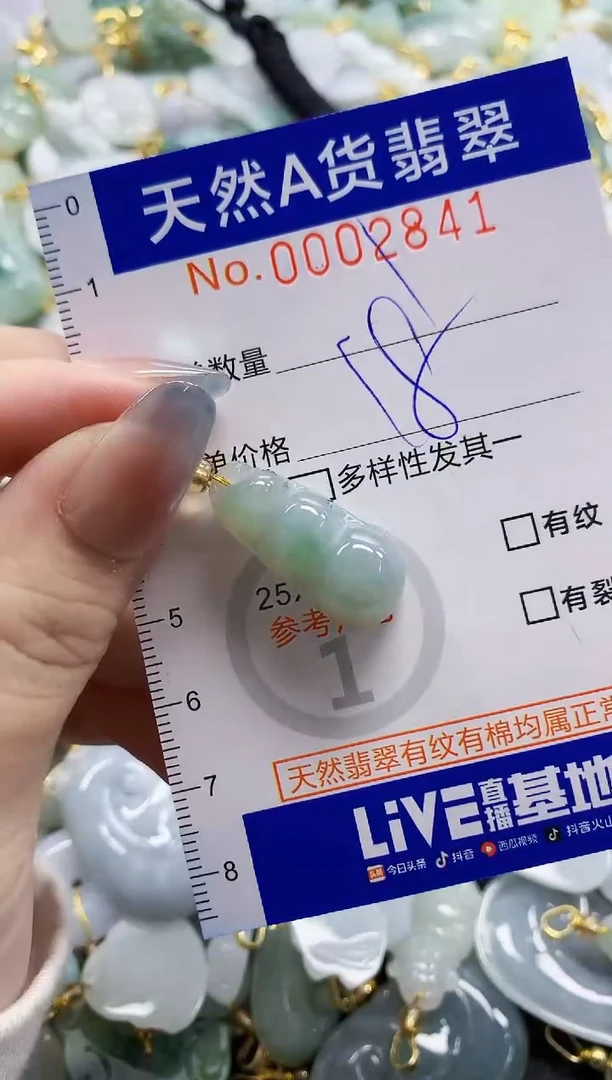 颈饰未镶嵌翡翠纯天然a货翡翠