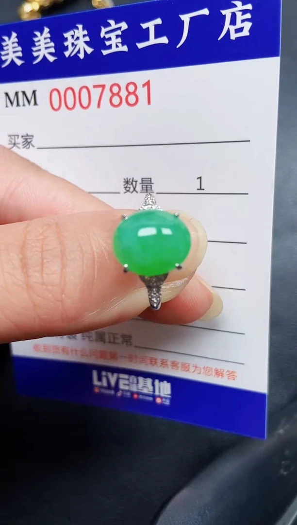 翡翠银S925镶嵌颈饰7881
