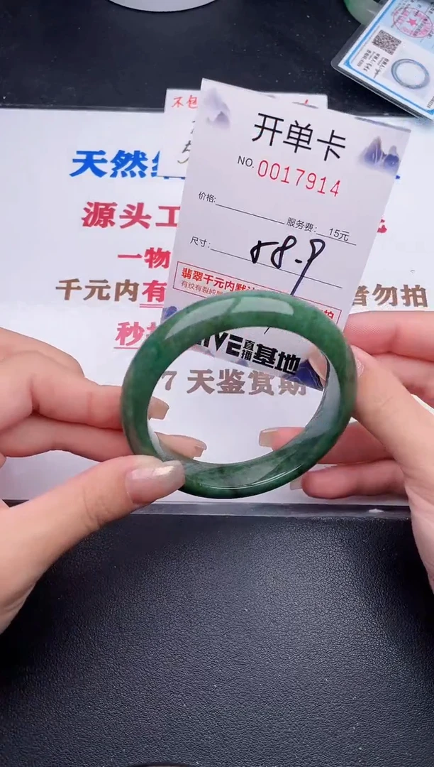 未镶嵌手镯翡翠14