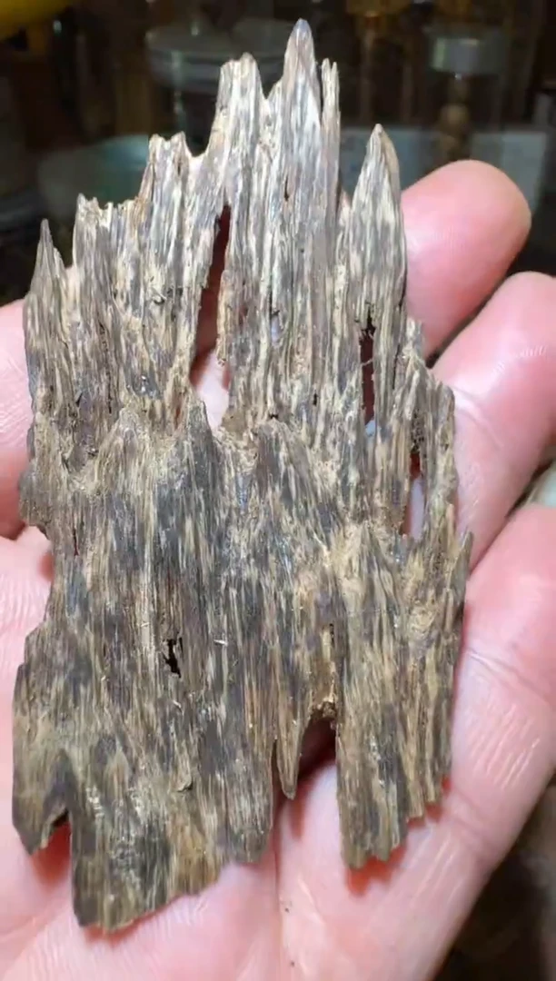 沉香沉香碎屑加里曼丹4.8克