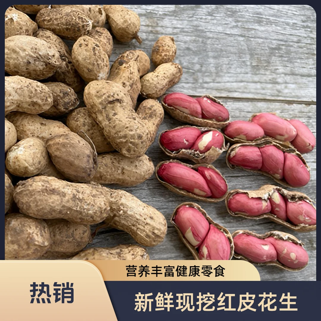 【水果花生生花生】新鲜现挖带壳湿花生红衣花生可水煮生吃口感好