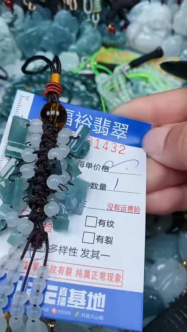 【闪购商品】翡翠颈饰未镶嵌...0001432多样性发其一