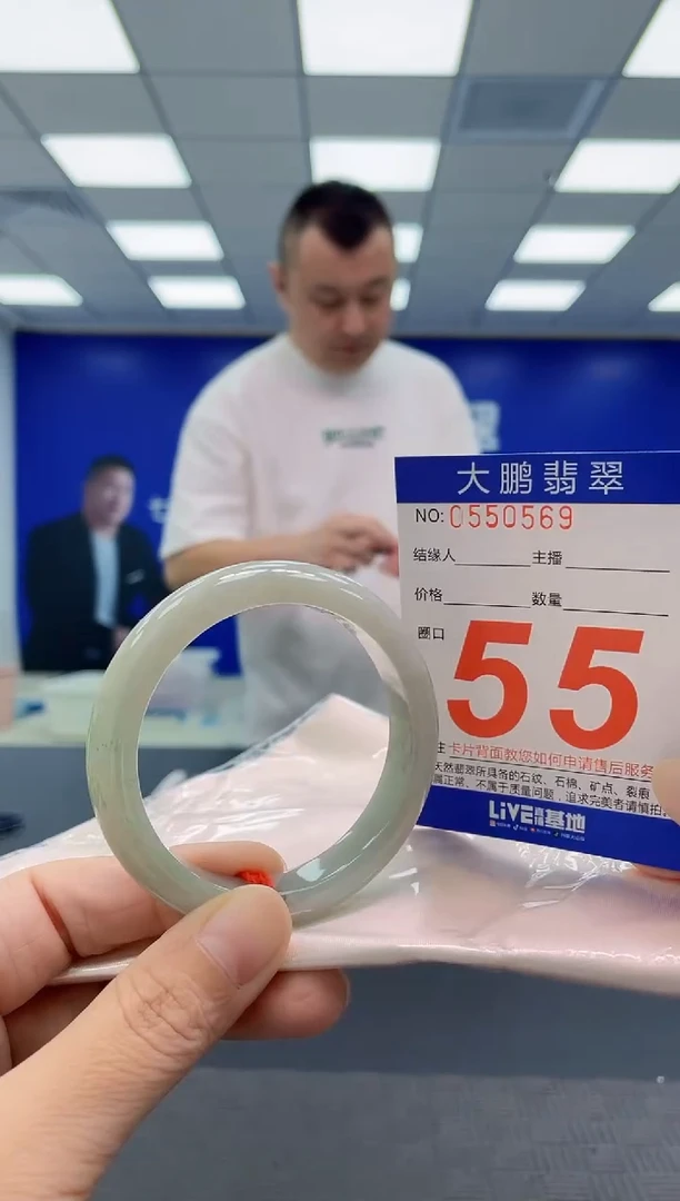 未镶嵌手镯翡翠AAAAAAAAAA