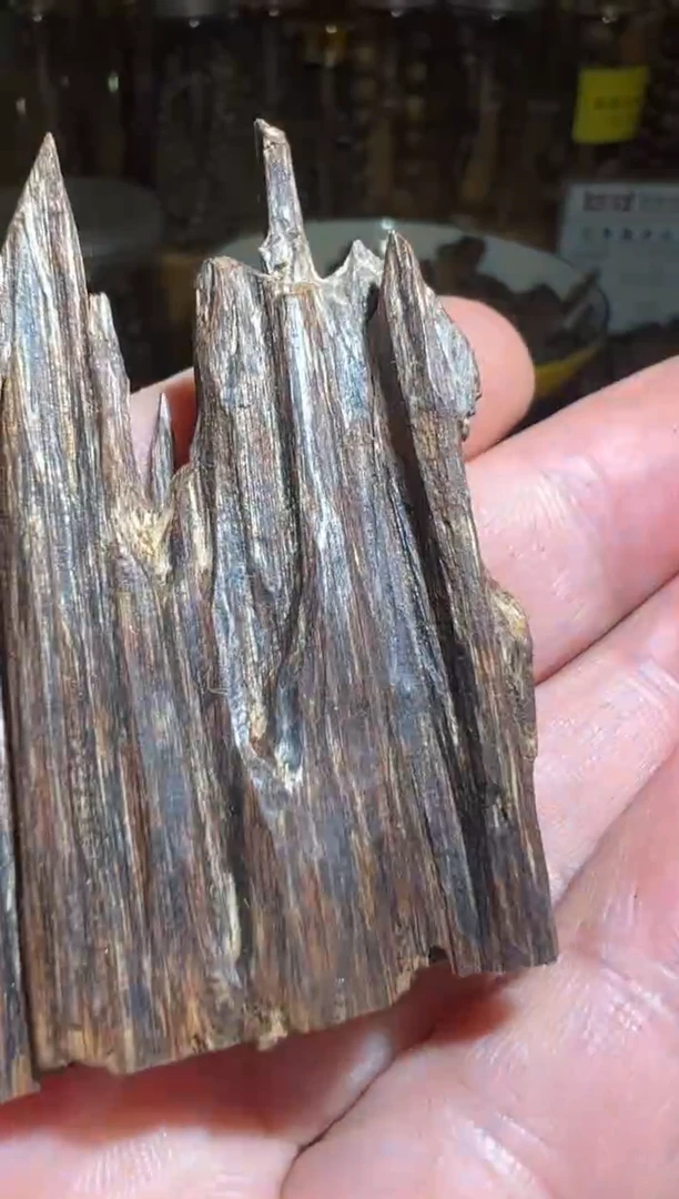 沉香沉香碎屑海南5.7克