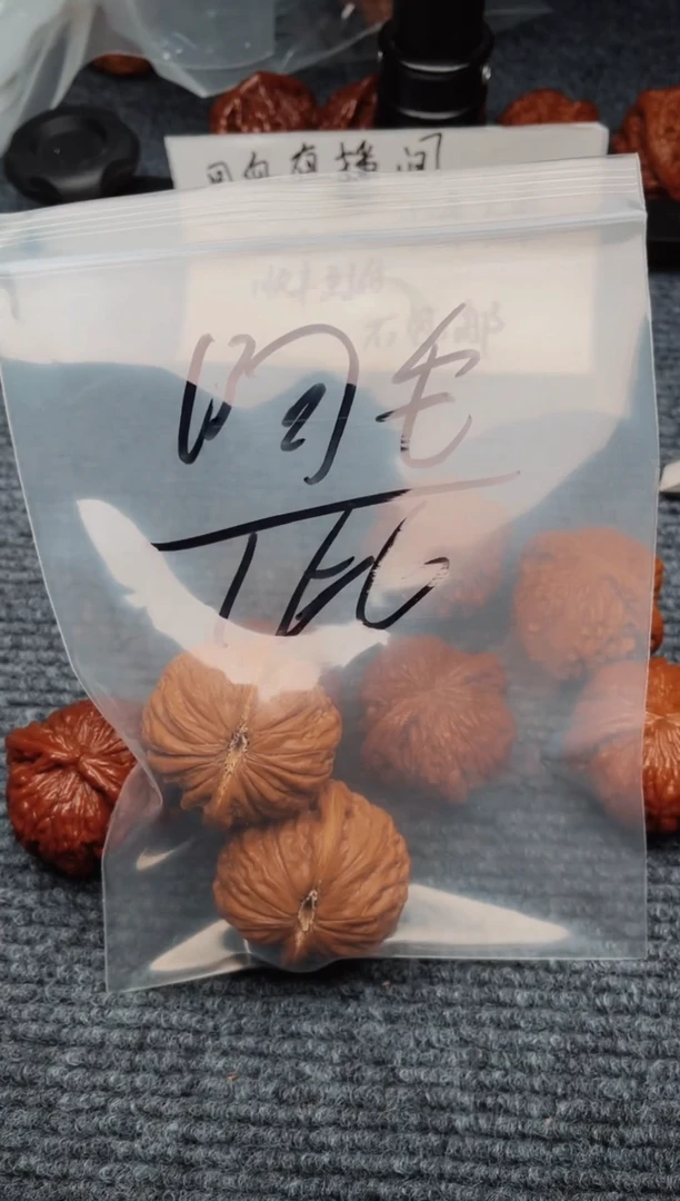 文玩核桃把件阿*。0619小七七阿毛