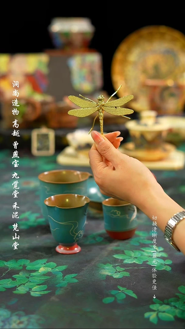 【闪购商品】蜻蜓···············