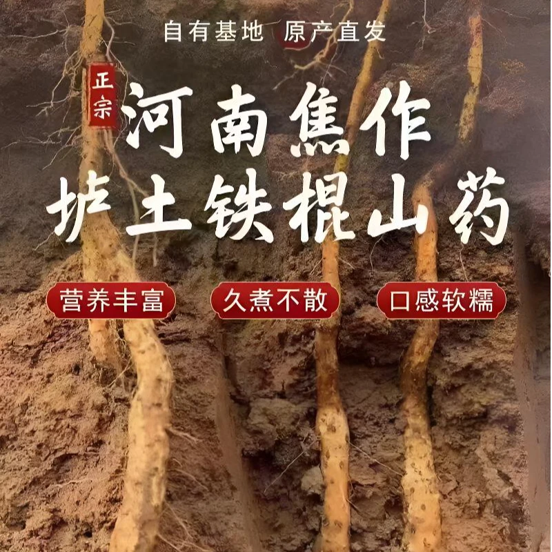 焦作正宗垆土铁棍怀山药软糯粉面 新鲜采挖3斤-5斤净重