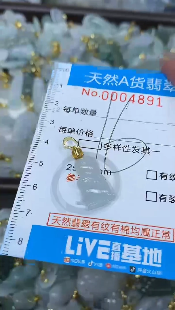 翡翠未镶嵌颈饰净货挂件-4891