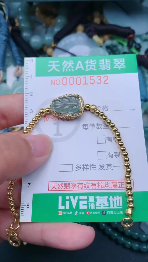 翡翠未镶嵌颈饰.0001532