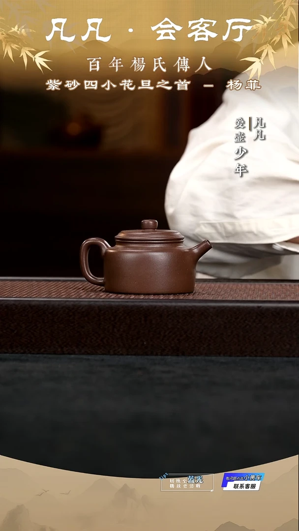 茶壶紫砂凡凡会客厅 紫砂壶11 德钟紫泥170cc